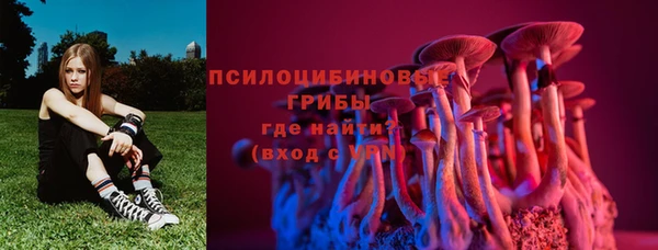 спиды Майский