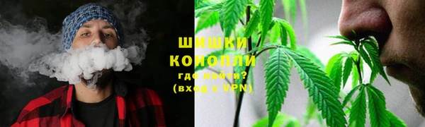 спиды Майский