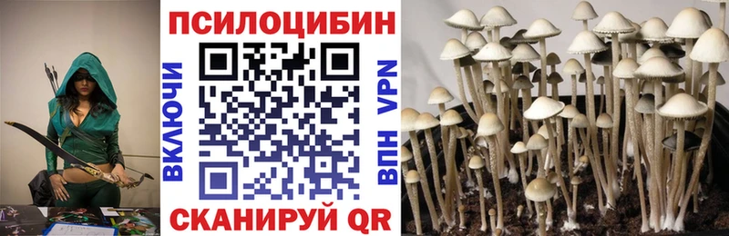 Псилоцибиновые грибы Psilocybe  Купить закладки  Белоусово 